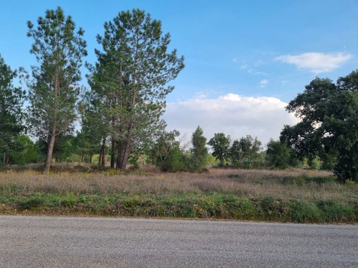 Image No.12-Terre à vendre à Abrantes