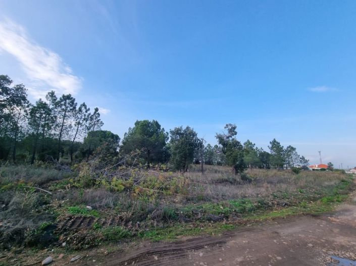 Image No.13-Terre à vendre à Abrantes