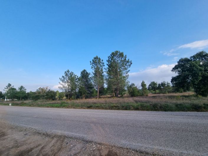 Image No.14-Terre à vendre à Abrantes