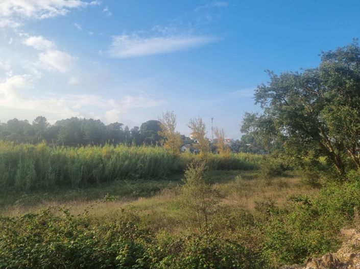 Image No.15-Terre à vendre à Abrantes