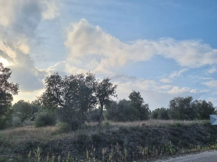 Image No.16-Terre à vendre à Abrantes