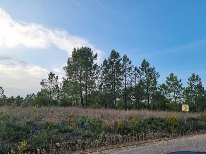 Image No.17-Terre à vendre à Abrantes