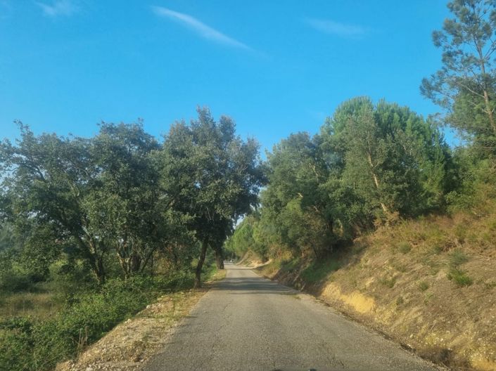 Image No.19-Terre à vendre à Abrantes