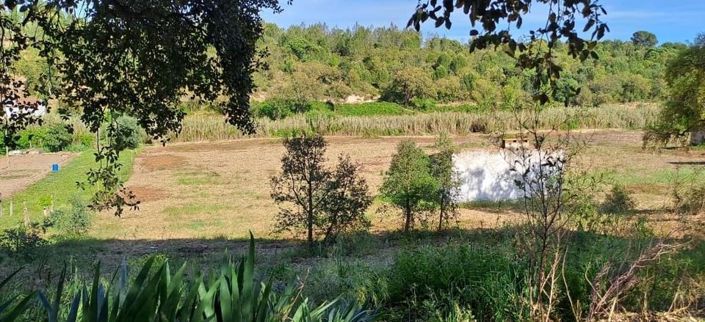 Image No.21-Terre à vendre à Abrantes