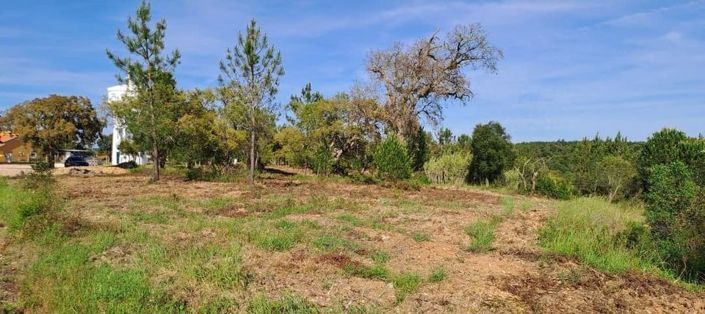 Image No.23-Terre à vendre à Abrantes