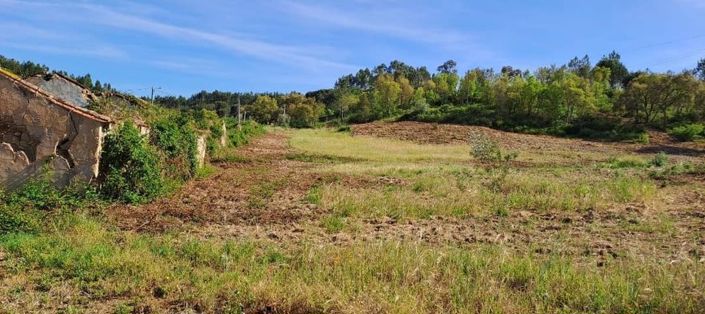 Image No.26-Terre à vendre à Abrantes