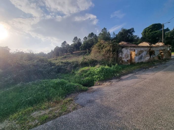 Image No.3-Terre à vendre à Abrantes