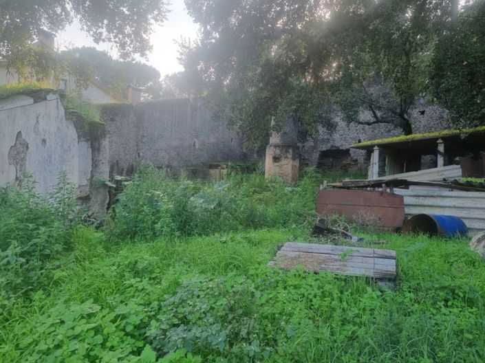 Image No.4-Terre à vendre à Abrantes