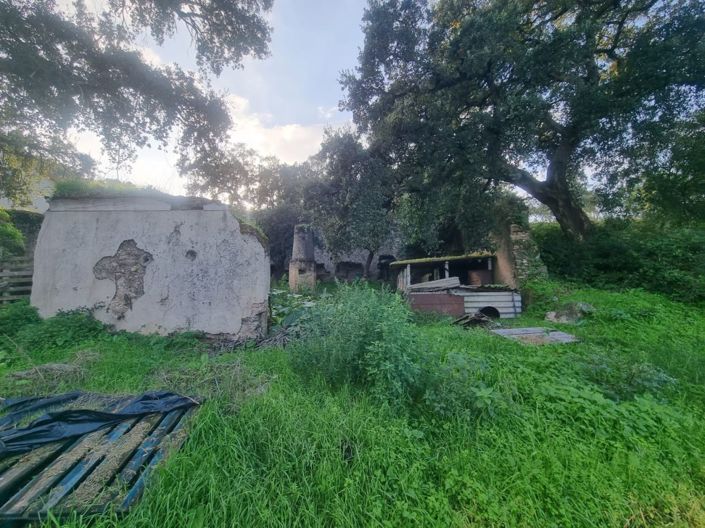 Image No.6-Terre à vendre à Abrantes