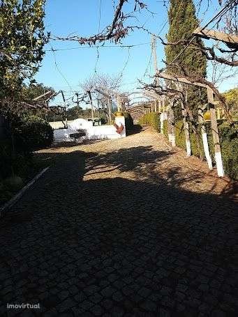 Image No.20-Commercial de 10 chambres à vendre à Tomar