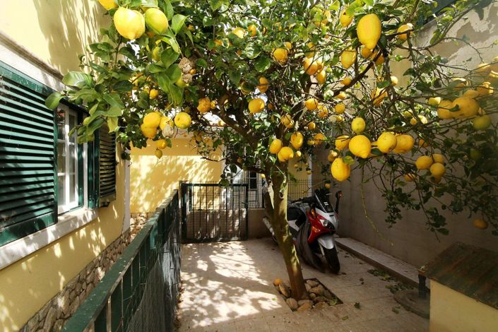 Image No.15-4 Bed House for sale