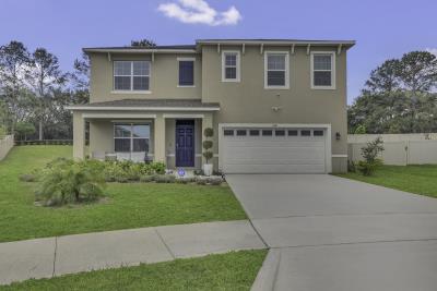 001_trevisuality_1541_tali_lane_mount_dora_fl-1_885