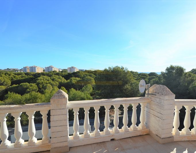 Image No.11-10 Bed Villa for sale