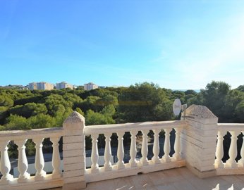 1640-villa-for-sale-in-campoamor-1362623-larg