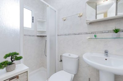 property233146600