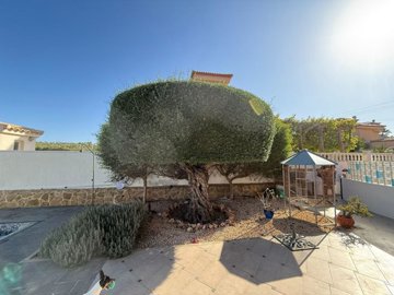 whatsapp-image-2025-09-19-at-103126