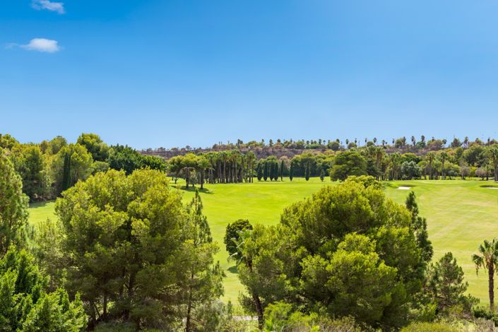 Image No.27-Appartement de 2 chambres à vendre à Campoamor