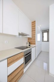 property261541411