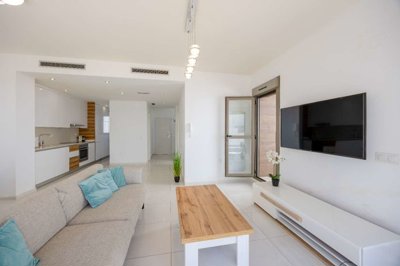 property261541717