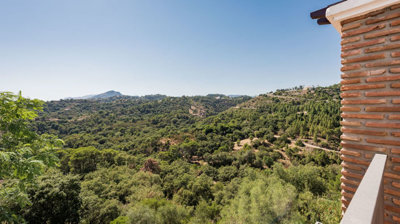 property838b0d7d2acdf1048a37977449539de099f