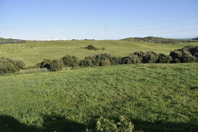 property1059786a87058cb052bdc38810ab34a86dbc