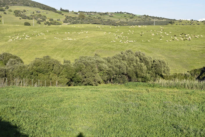 Image No.14-Propriété de 2 chambres à vendre à Casares
