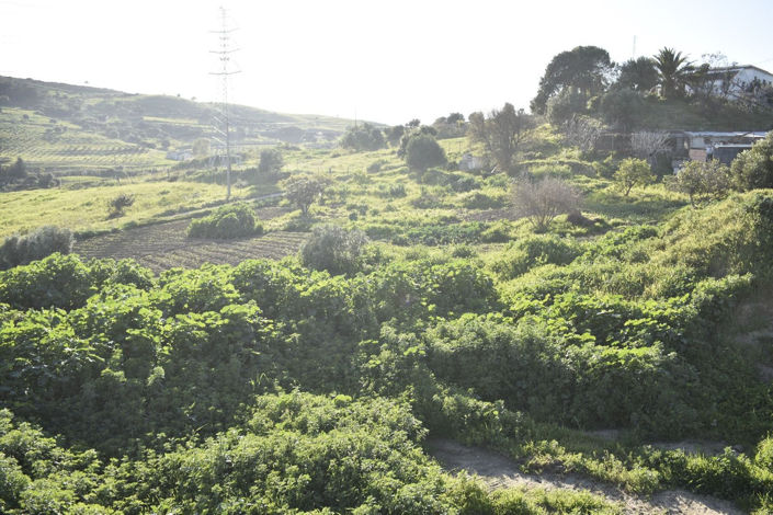 Image No.16-Propriété de 2 chambres à vendre à Casares