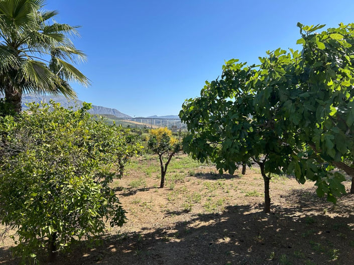 Image No.18-2 Bed Villa for sale