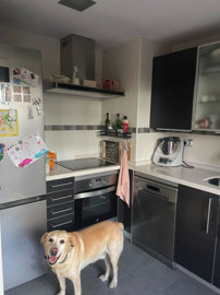 property1129e421f12e1ca80a1e170500762368d858