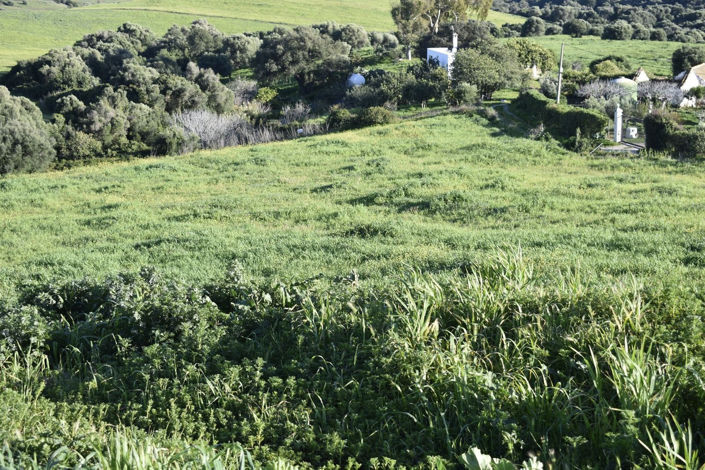 Image No.21-2 Bed Property for sale