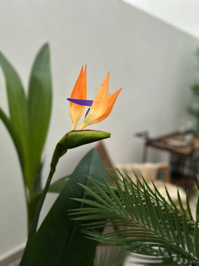 Image No.35-2 Bed Property for sale