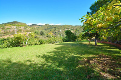 property827a387aec00202977c82465c32280e044e