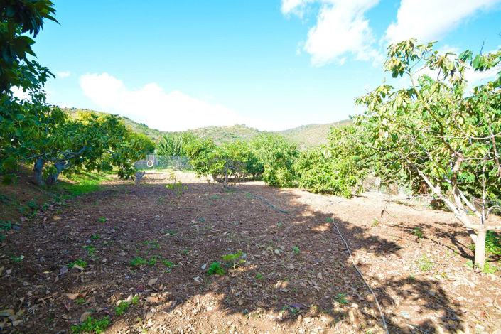 Image No.4-Propriété de 2 chambres à vendre à Marbella