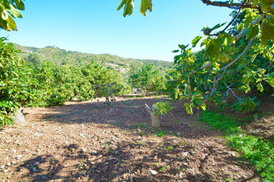 property827eca88ae214e70553eec539ddb18f371f