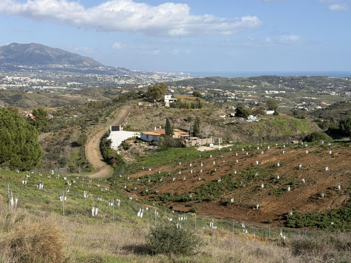 Image No.22-Propriété de 1 chambre à vendre à Mijas