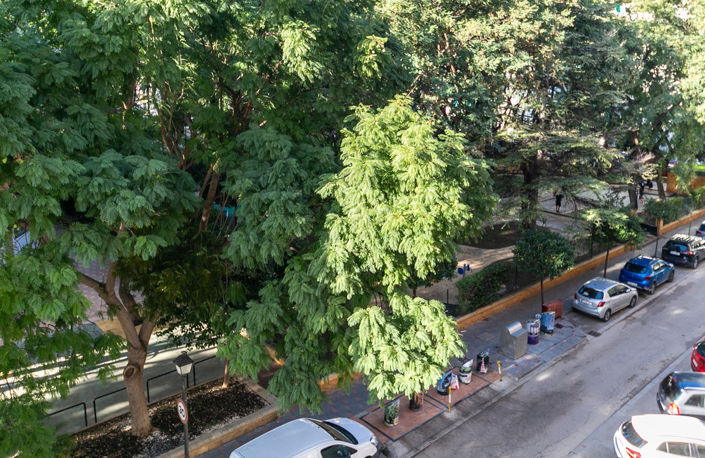 Image No.27-3 Bed Property for sale