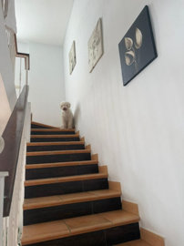 property898970e40531e7771da3179d77464d86b29