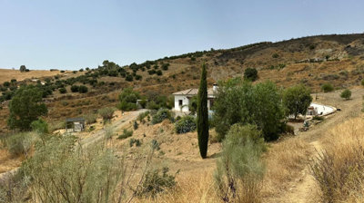 property7976c4ed06762c40409b88e535d78709d78