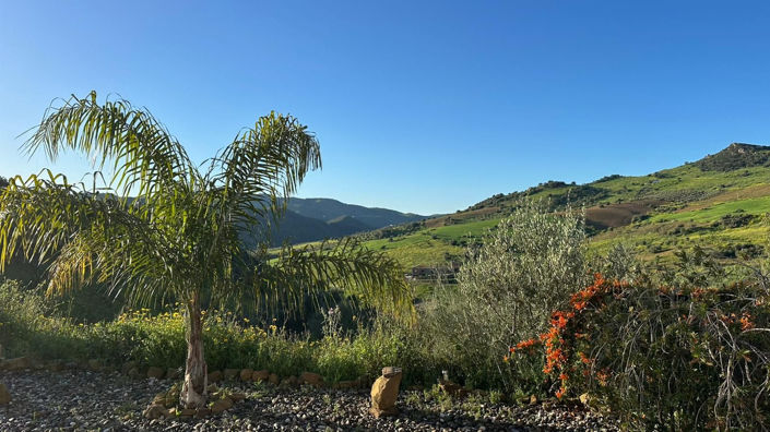 Image No.29-3 Bed Villa for sale