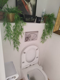 property10020877503c1e006e690b5a4d0a324a50e3