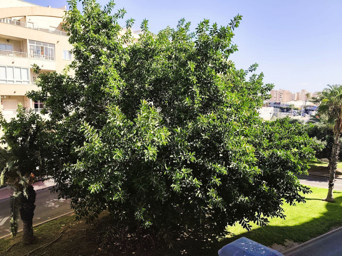 Image No.21-Appartement de 2 chambres à vendre à Alicante