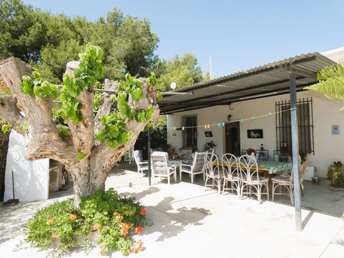 Image No.1-Finca de 3 chambres à vendre à Alicante
