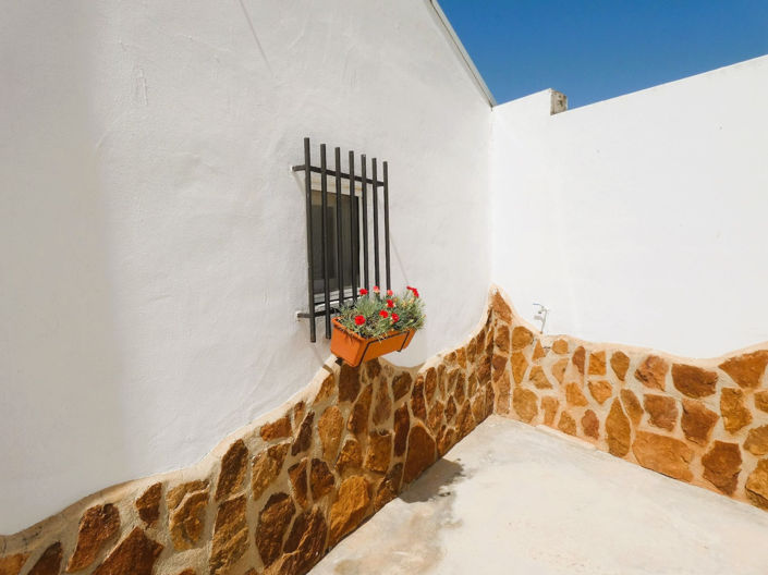 Image No.29-3 Bed Finca for sale