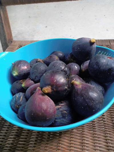 Image No.35-3 Bed Finca for sale