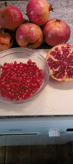 Image No.44-Finca de 3 chambres à vendre à Alicante