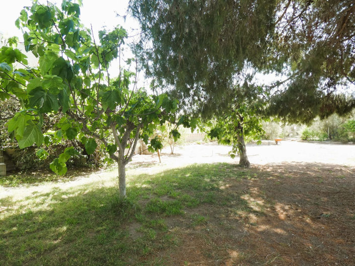 Image No.47-3 Bed Finca for sale