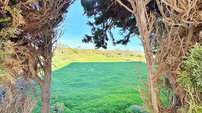 Image No.32-Appartement de 1 chambre à vendre à Alicante