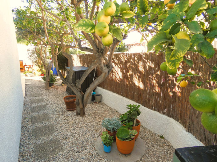 Image No.44-Villa de 2 chambres à vendre à Alicante