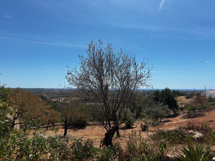 Image No.23-Jumelé de 2 chambres à vendre à Loule