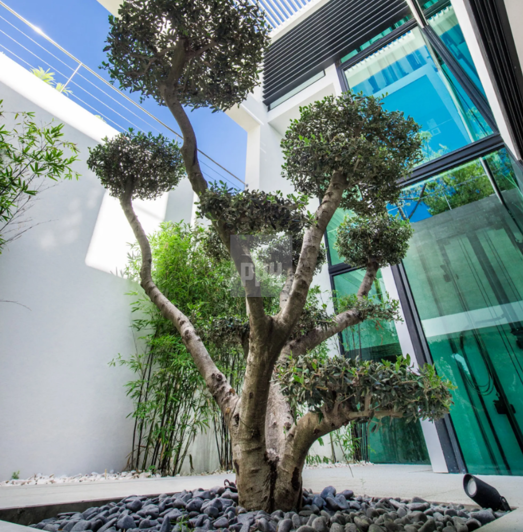 Image No.25-6 Bed Villa for sale